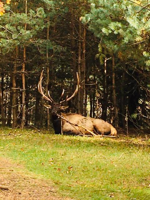 2950 Applegate Road Applegate Mi 48401 Rd, Applegate, MI 48401 photo 84