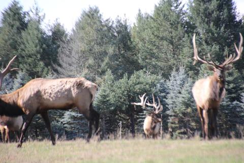 2950 Applegate Road Applegate Mi 48401 Rd, Applegate, MI 48401 photo 51
