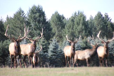 2950 Applegate Road Applegate Mi 48401 Rd, Applegate, MI 48401 photo 1