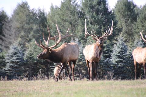 2950 Applegate Road Applegate Mi 48401 Rd, Applegate, MI 48401 photo 50