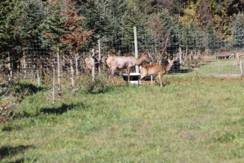 2950 Applegate Road Applegate Mi 48401 Rd, Applegate, MI 48401 photo 30