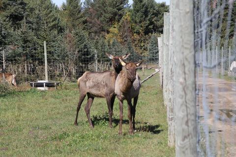 2950 Applegate Road Applegate Mi 48401 Rd, Applegate, MI 48401 photo 32
