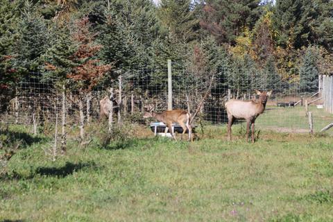 2950 Applegate Road Applegate Mi 48401 Rd, Applegate, MI 48401 photo 31