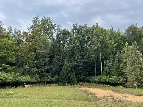 2859 Noralin Drive Lot 9 Alpena Mi 49707 Dr #LOT 9, Alpena, MI 49707