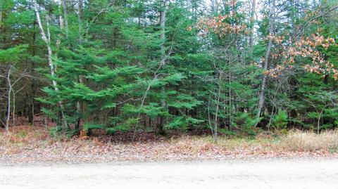 10761 Mohawk Trail Roscommon Mi 48653 Trl, Roscommon, MI 48653 photo 34