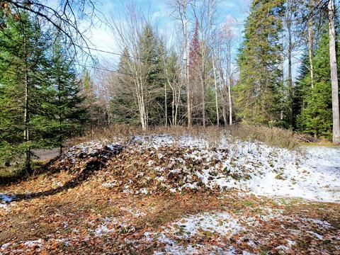 10761 Mohawk Trail Roscommon Mi 48653 Trl, Roscommon, MI 48653 photo 26