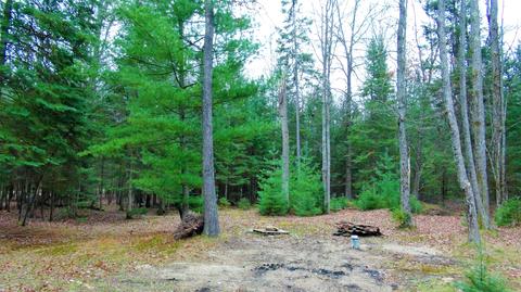 10761 Mohawk Trail Roscommon Mi 48653 Trl, Roscommon, MI 48653 photo 5
