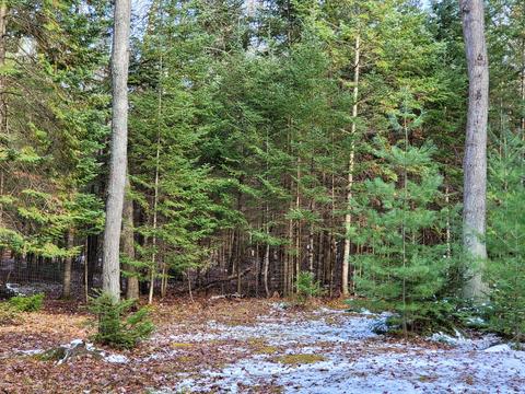 10761 Mohawk Trail Roscommon Mi 48653 Trl, Roscommon, MI 48653 photo 6