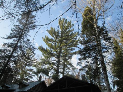 2101 Deeter Rd, Luzerne, MI 48636 photo 15