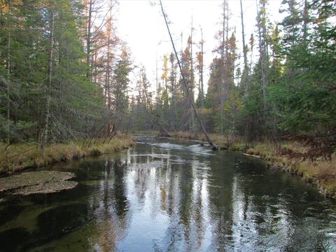 2101 Deeter Rd, Luzerne, MI 48636 photo 13