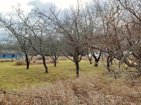 7953 Bloom Road Alpena Mi 49707 Rd, Alpena, MI 49707 photo 8