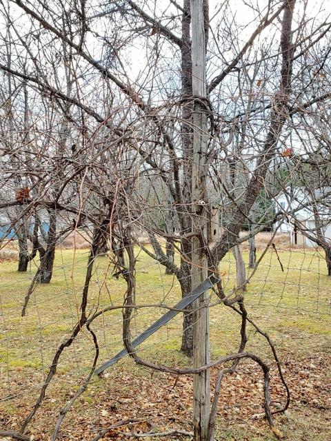 7953 Bloom Road Alpena Mi 49707 Rd, Alpena, MI 49707 photo 50