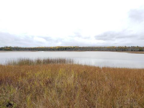 7953 Bloom Road Alpena Mi 49707 Rd, Alpena, MI 49707 photo 4