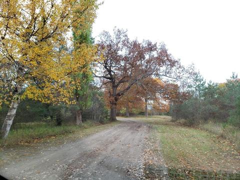7953 Bloom Road Alpena Mi 49707 Rd, Alpena, MI 49707 photo 9