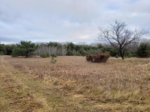 7953 Bloom Road Alpena Mi 49707 Rd, Alpena, MI 49707 photo 47