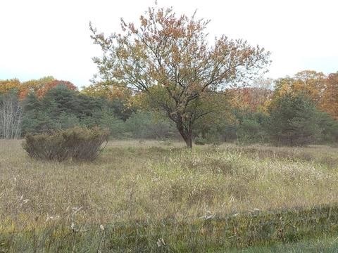 7953 Bloom Road Alpena Mi 49707 Rd, Alpena, MI 49707 photo 11