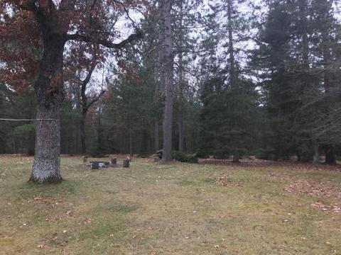 3540 Mckinley Rd, Mio, MI 48647 photo 22