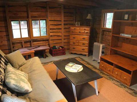 3540 Mckinley Rd, Mio, MI 48647 photo 16