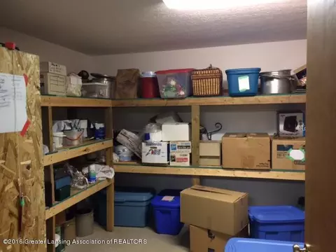 9664 Mcbride Rd, Ovid, MI 48866 photo 11