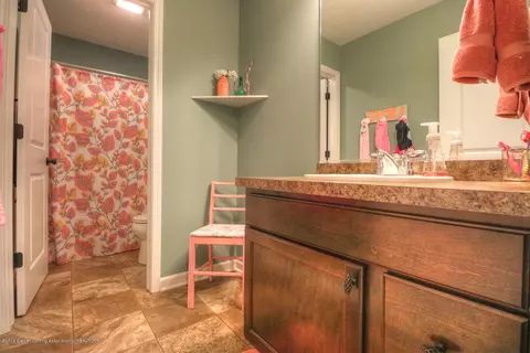 1091 Oakwood Dr, Dewitt, MI 48820 photo 14