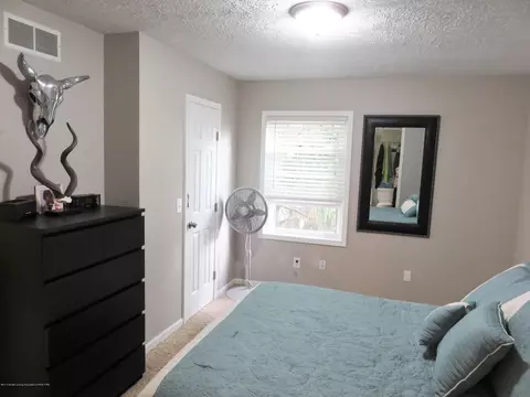 5603 Franklin St, Haslett, MI 48840 photo 11