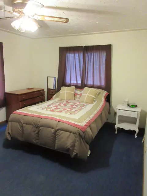 500 W Geneva Dr, Dewitt, MI 48820 photo 10