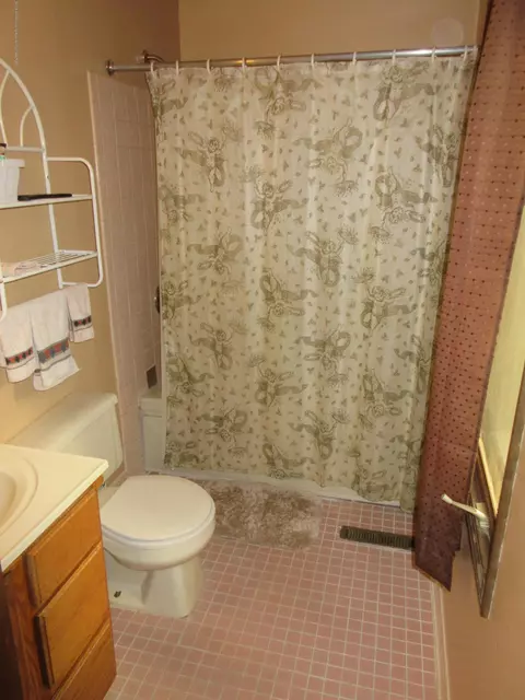 500 W Geneva Dr, Dewitt, MI 48820 photo 9