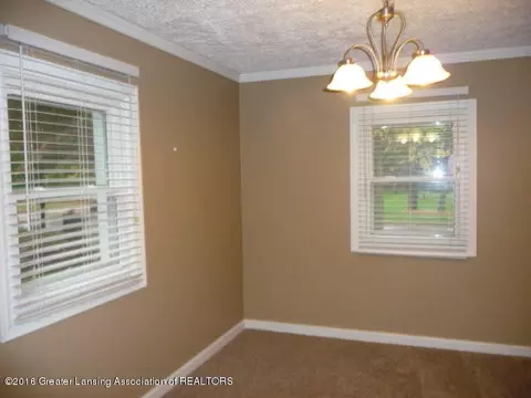 326 Wilson St, Dewitt, MI 48820 photo 7