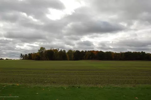 3330 E Howell Rd, Webberville, MI 48892 photo 24