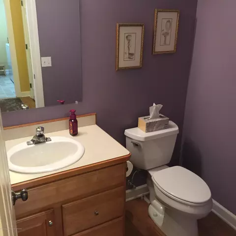 3320 Hidden Ridge Dr, Dewitt, MI 48820 photo 11