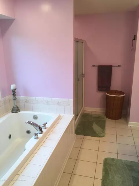 3320 Hidden Ridge Dr, Dewitt, MI 48820 photo 17