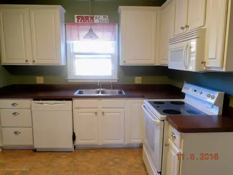 207 N Scott St, Dewitt, MI 48820 photo 4