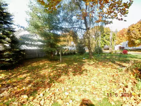 207 N Scott St, Dewitt, MI 48820 photo 13