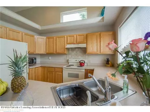 14809 Hardtke Dr, Lansing, MI 48906 photo 6
