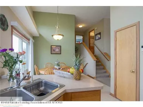 14809 Hardtke Dr, Lansing, MI 48906 photo 9