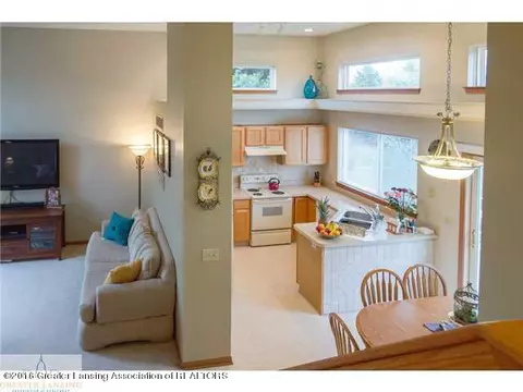 14809 Hardtke Dr, Lansing, MI 48906 photo 5