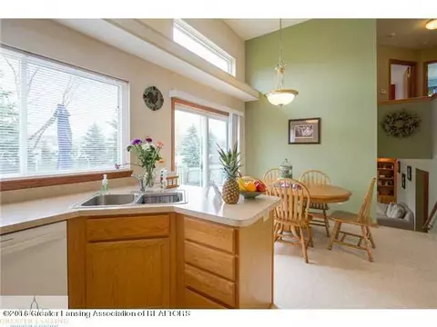 14809 Hardtke Dr, Lansing, MI 48906 photo 8