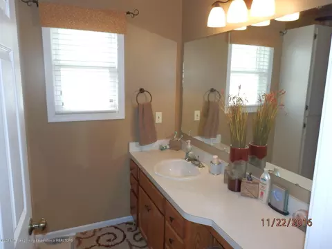 409 Daisy Dr, Saint Johns, MI 48879 photo 21