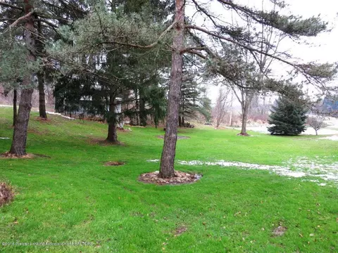 13025 S Francis Rd, Dewitt, MI 48820 photo 7
