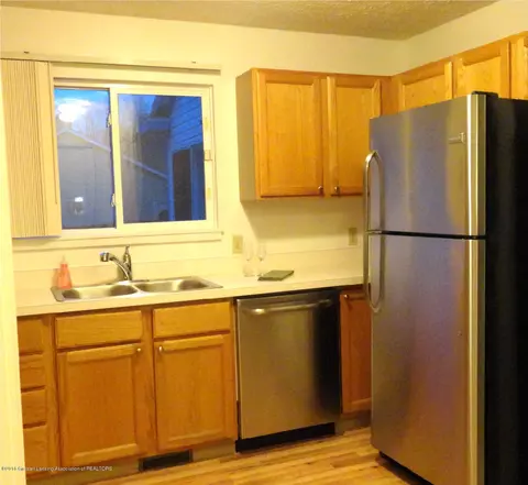 720 Winding River Dr, Williamston, MI 48895 photo 14