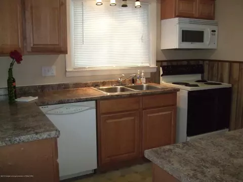 2908 Delta St, Lansing, MI 48906 photo 4