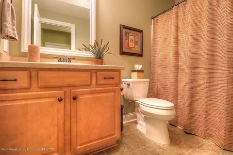 1079 Oakwood Dr, Dewitt, MI 48820 photo 13
