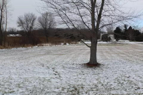 5594 S Corey, Perry, MI 48872 photo 20