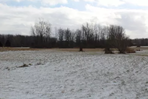5594 S Corey, Perry, MI 48872 photo 21