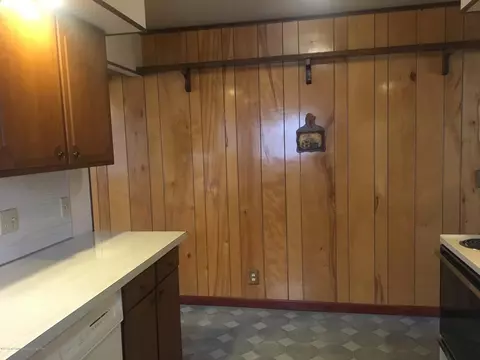 220 E Rouse St, Lansing, MI 48910 photo 20