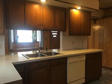 220 E Rouse St, Lansing, MI 48910 photo 19
