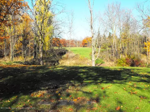 8193 S Us Highway 27, Dewitt, MI 48820 photo 25