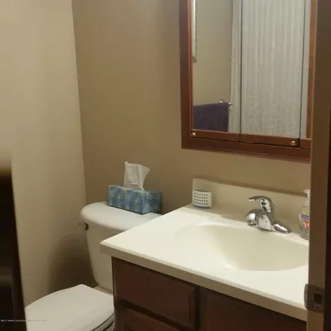 1147 Winding Brook Rd, Dewitt, MI 48820 photo 12