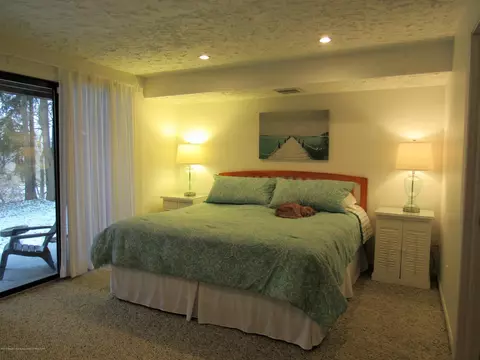 1196 Academic Way, Haslett, MI 48840 photo 13