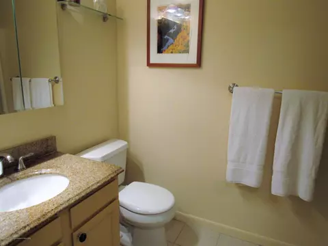 1196 Academic Way, Haslett, MI 48840 photo 16
